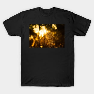 Into the golden light T-Shirt